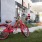 Vivo on Harbor Resident Bikes