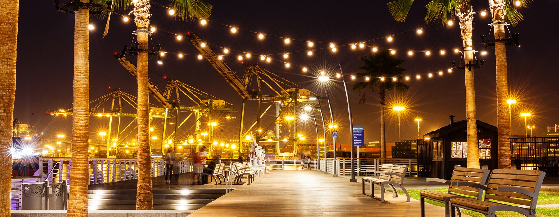 a boardwalk with palm trees surrounding it