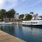 boats moored to piers