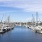 harbor filled with boats
